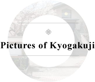 Pictures of Kyogakuji